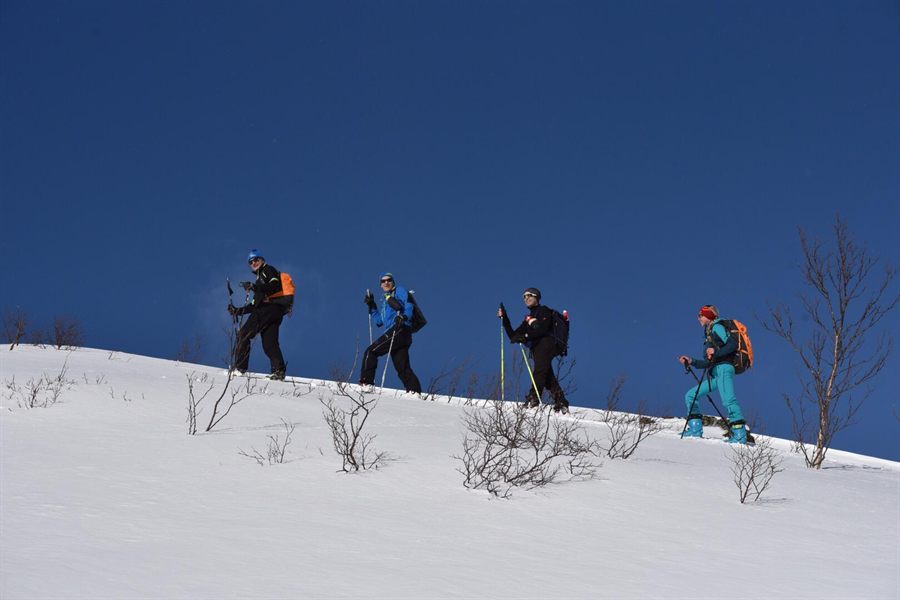 Four ski tourers walking along a snowy ridge against a deep blue sky