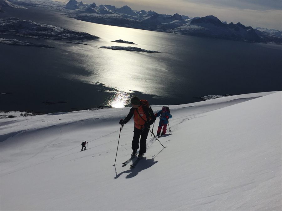 Three ski tourers skinning up a snow slope high above a sunlit fjord